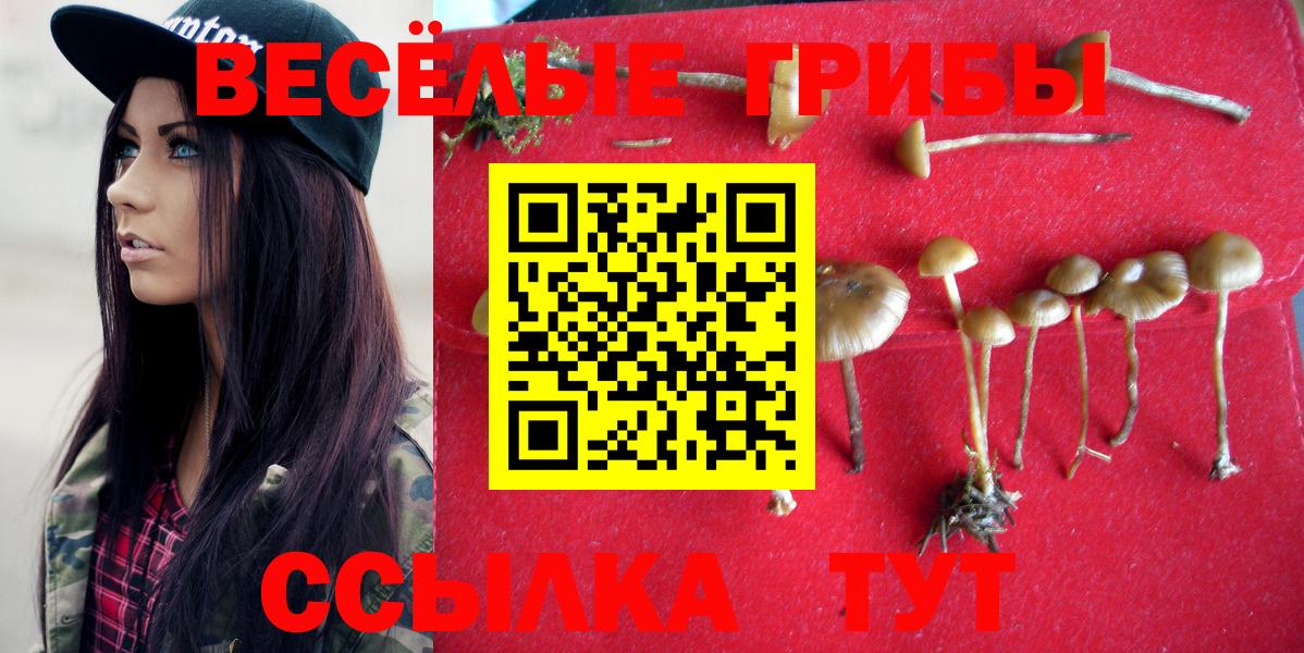 Псилоцибиновые грибы GOLDEN TEACHER Елабуга