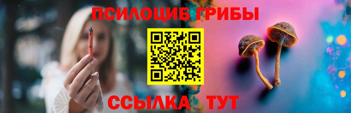 наркота  Вход с VPN  Елабуга  Галлюциногенные грибы Cubensis 